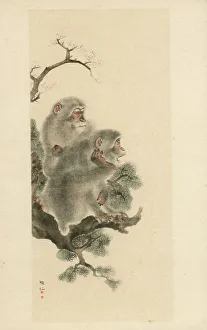 Printing Prints: Japanese art - Two monkeys in a tree by Mori Sosen