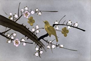 Stork Gallery: Japanese art postcard - Golden bird perched in blossom tree