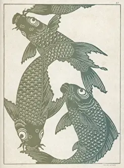 Ease Prints: Japanese Carp 18C