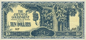 Japanese Ten Dollar Banknote - Banana Money