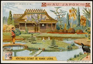 Spiritual Prints: Japanese Garden