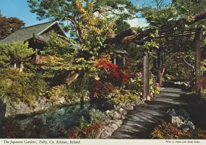 The Japanese Gardens, Tully, County Kildare