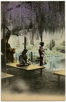 Two Japanese Geisha girls beneath the Wisteria - Japan