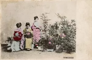 Three Japanese Geisha girls in a Garden