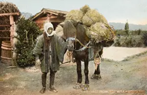 Japanese packhorse with bags of rice