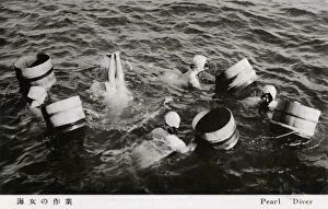 Diver Gallery: Japanese Pearl Divers