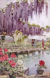 Wisteria Prints: A Japanese Peony Garden