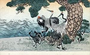 Unattributed Prints: Japanese Print - Waterside pine and a family of cranes