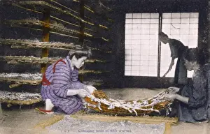 Cleans Prints: Japanese Silk Industry - Cleaning silk worm beds