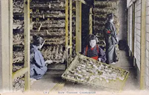Trays Prints: Japanese Silk Industry - Storing the Cocoons