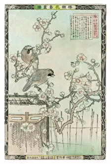Seasons Collection: Japanese Spring Scene