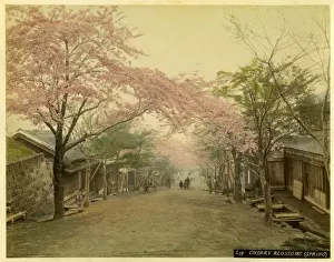 Japanese village street
