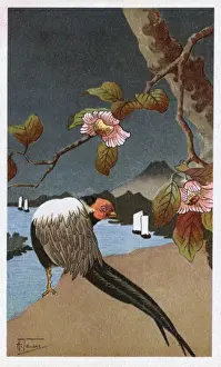 Fuji Prints: Japanese woodcut-style image - nature theme