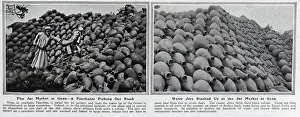 The Jar market at Gaza
