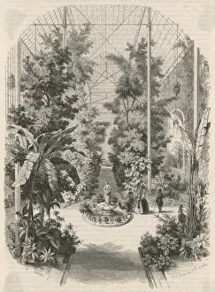 Plantes Prints: Jardin des Plantes, Paris