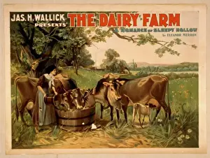 Sleepy Prints: Jas. H. Wallick presents The dairy farm a romance of Sleepy