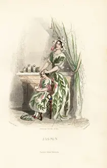Jasmine Prints: Jasmine flower fairy, Jasminum officinale