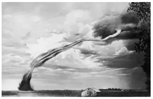 Vulnerable Prints: Jasper Tornado USA