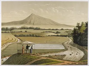 Djakarta Prints: Java / Djakarta 1882