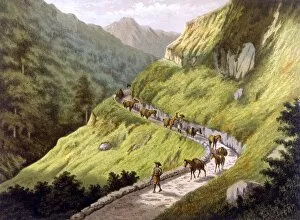 Java / Mountain Scenery