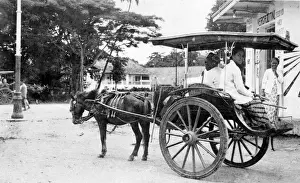Javanese Prints: Javanese Taxi