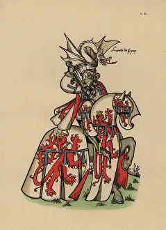 Jean de Luxembourg, comte de Lyons, John II