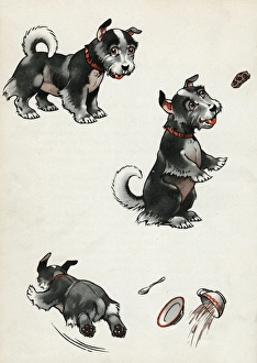 Teatime Collection: Jeek the puppy getting into trouble