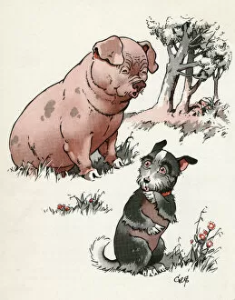 Jeek the puppy meets a pig