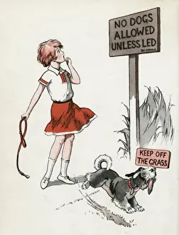 Regulations Prints: Jeek the puppy in the new park
