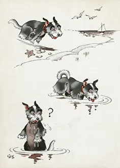 Starfish Prints: Jeek the puppy at the seaside