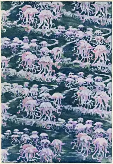 Jellyfish / Pink Design