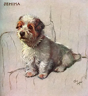 Images Dated 3rd November 2016: Jemima! Drawn by Cecil Aldin