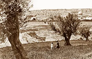 Olives Prints: Jerusalem from Mount of Olives