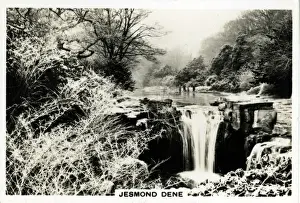 Jesmond Dene, Jesmond, Northumberland