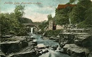 Northumberland Prints: Jesmond Dene, Jesmond, Northumberland