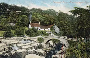 Quaint Prints: Jesmond Dene, Old mill, Newcastle-on-Tyne, England