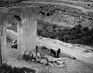 Images Dated 10th May 2011: Jesrusalem / Gethsemane