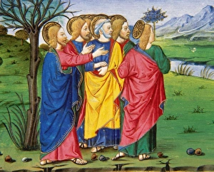 Jesus and his disciples, going along the barren fig tree. Co Jesus and his disciples, going along the barren fig tree. Co