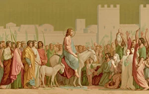 Ministry Gallery: Jesus on a Donkey (Col)