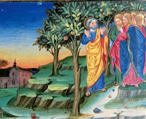 Chalice Gallery: Jesus goes to Mount of Olives to pray. Codex of Predis (1476