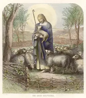 Jesus as Good Shepherd