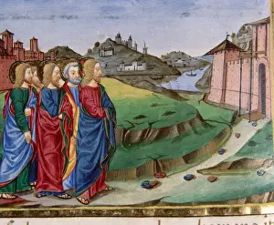 Predis Prints: Jesus leaves Bethany and goes to Jerusalem. Codex of Predis