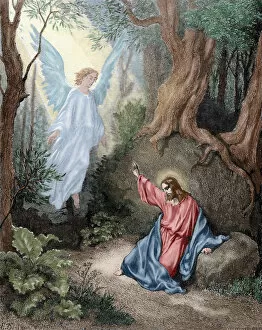 Jesus on the Mount of Olives. Engraving. Colored
