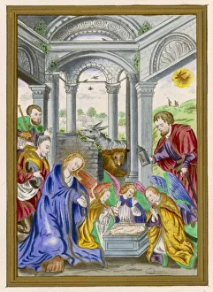 The Nativity Gallery: Jesus Nativity (Ms)