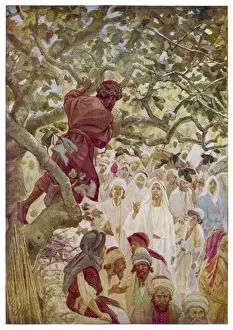 Jesus & Zacchaeus
