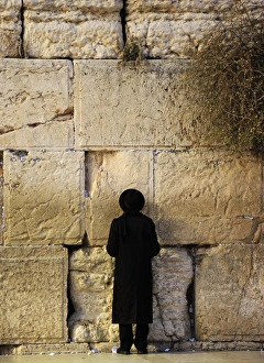 Images Dated 30th December 2013: A Jew praying at the Western Wall. Jerusalem. Israel