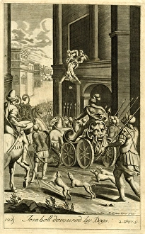 Images Dated 2nd June 2016: Jezebel devoured by dogs