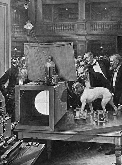 Jimmy Gallery: Jimmy the Bulldog at the Royal Society