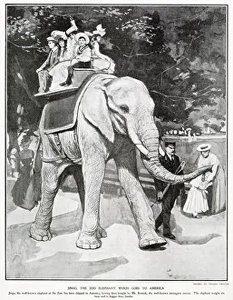 Captivity Prints: Jingo the Zoo Elephant Goes to America 1903