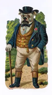 John Bull-Dog